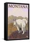 Mountain Goat, Montana-Lantern Press-Framed Stretched Canvas