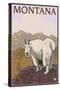 Mountain Goat, Montana-Lantern Press-Stretched Canvas