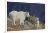 Mountain Goat, nanny with kid-Ken Archer-Framed Photographic Print