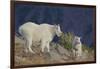 Mountain Goat, nanny with kid-Ken Archer-Framed Photographic Print