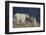 Mountain Goat, nanny with kid-Ken Archer-Framed Photographic Print