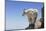 Mountain Goat On A High Mountain Ledge-Blueiris-Mounted Photographic Print