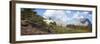 Mountain Goat on the Hillside. Glacier National Park, Montana, USA.-Tom Norring-Framed Photographic Print