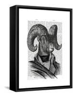 Mountain Goat Portrait-Fab Funky-Framed Stretched Canvas