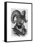 Mountain Goat Portrait-Fab Funky-Framed Stretched Canvas