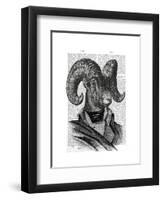 Mountain Goat Portrait-Fab Funky-Framed Art Print