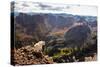 Mountain Goat Stands at the Edge of Bouldery Cliff at the Maroon Bells in Colorado-Kent Harvey-Stretched Canvas