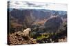 Mountain Goat Stands at the Edge of Bouldery Cliff at the Maroon Bells in Colorado-Kent Harvey-Stretched Canvas