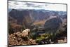 Mountain Goat Stands at the Edge of Bouldery Cliff at the Maroon Bells in Colorado-Kent Harvey-Mounted Premium Photographic Print