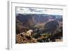 Mountain Goat Stands at the Edge of Bouldery Cliff at the Maroon Bells in Colorado-Kent Harvey-Framed Photographic Print