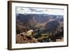 Mountain Goat Stands at the Edge of Bouldery Cliff at the Maroon Bells in Colorado-Kent Harvey-Framed Photographic Print