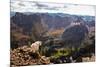 Mountain Goat Stands at the Edge of Bouldery Cliff at the Maroon Bells in Colorado-Kent Harvey-Mounted Photographic Print