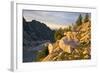 Mountain goat with kids at Crystal Lake, The Enchantments, Washington-Steve Kazlowski-Framed Photographic Print