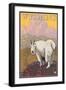 Mountain Goat, Wyoming-Lantern Press-Framed Art Print