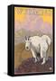 Mountain Goat, Wyoming-Lantern Press-Framed Stretched Canvas