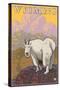 Mountain Goat, Wyoming-Lantern Press-Stretched Canvas