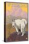 Mountain Goat, Wyoming-Lantern Press-Stretched Canvas