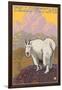 Mountain Goat, Yellowstone National Park-Lantern Press-Framed Art Print