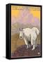 Mountain Goat, Yellowstone National Park-Lantern Press-Framed Stretched Canvas