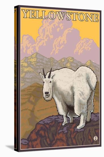 Mountain Goat, Yellowstone National Park-Lantern Press-Stretched Canvas