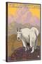 Mountain Goat, Yellowstone National Park-Lantern Press-Stretched Canvas