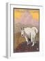 Mountain Goat, Yellowstone National Park-Lantern Press-Framed Art Print