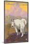 Mountain Goat, Yellowstone National Park-Lantern Press-Mounted Art Print