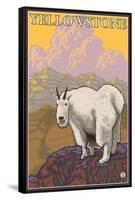 Mountain Goat, Yellowstone National Park-Lantern Press-Framed Stretched Canvas