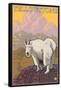 Mountain Goat, Yellowstone National Park-Lantern Press-Framed Stretched Canvas