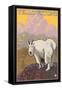 Mountain Goat, Yellowstone National Park-Lantern Press-Framed Stretched Canvas