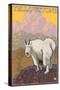 Mountain Goat, Yellowstone National Park-Lantern Press-Stretched Canvas