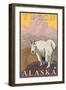 Mountain Goat, Yukon, Alaska-Lantern Press-Framed Art Print