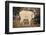 Mountain Goat-DLILLC-Framed Photographic Print