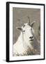 Mountain Goat-Ken Archer-Framed Photographic Print