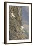 Mountain Goats, Kongakut River, ANWR, Alaska, USA-Tom Norring-Framed Photographic Print