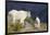 Mountain Goats, nanny and kid-Ken Archer-Framed Photographic Print