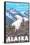 Mountain Goats Scene, Denali National Park, Alaska-Lantern Press-Framed Stretched Canvas