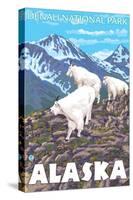 Mountain Goats Scene, Denali National Park, Alaska-Lantern Press-Stretched Canvas