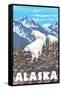 Mountain Goats Scene, Denali National Park, Alaska-Lantern Press-Framed Stretched Canvas