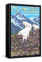 Mountain Goats Scene, Glacier National Park, Montana-Lantern Press-Framed Stretched Canvas