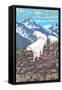 Mountain Goats Scene, Glacier National Park, Montana-Lantern Press-Framed Stretched Canvas