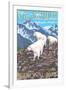 Mountain Goats Scene, Glacier National Park, Montana-Lantern Press-Framed Art Print