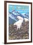 Mountain Goats Scene, Glacier National Park, Montana-Lantern Press-Framed Art Print