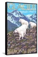 Mountain Goats Scene, Glacier National Park, Montana-Lantern Press-Framed Stretched Canvas