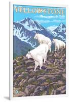 Mountain Goats Scene, Yellowstone National Park-Lantern Press-Framed Art Print