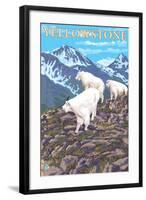 Mountain Goats Scene, Yellowstone National Park-Lantern Press-Framed Art Print