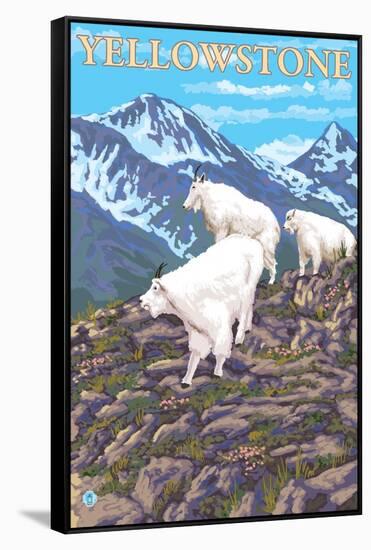 Mountain Goats Scene, Yellowstone National Park-Lantern Press-Framed Stretched Canvas