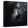 Mountain Gorilla Hanging on Vine-Adrian Warren-Framed Stretched Canvas