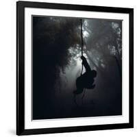 Mountain Gorilla Hanging on Vine-Adrian Warren-Framed Photographic Print