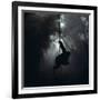 Mountain Gorilla Hanging on Vine-Adrian Warren-Framed Photographic Print